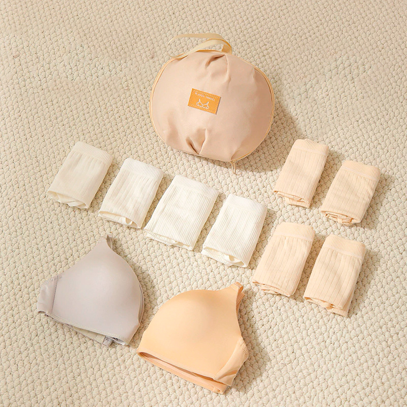 Женский дорожный органайзер #104 для нижнего белья бюстгальтеров носков Milk