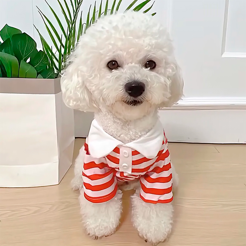 Рубашка поло для собак и кошек 2306CGHY5160 демисезонная  Red S