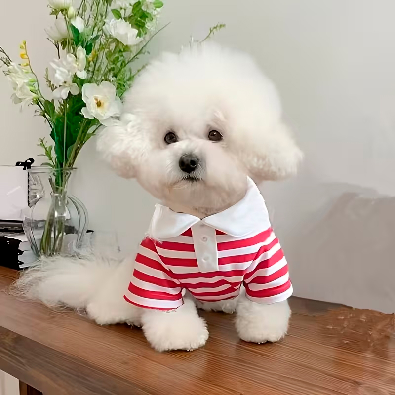 Рубашка поло для собак и кошек 2306CGHY5160 демисезонная  Red S