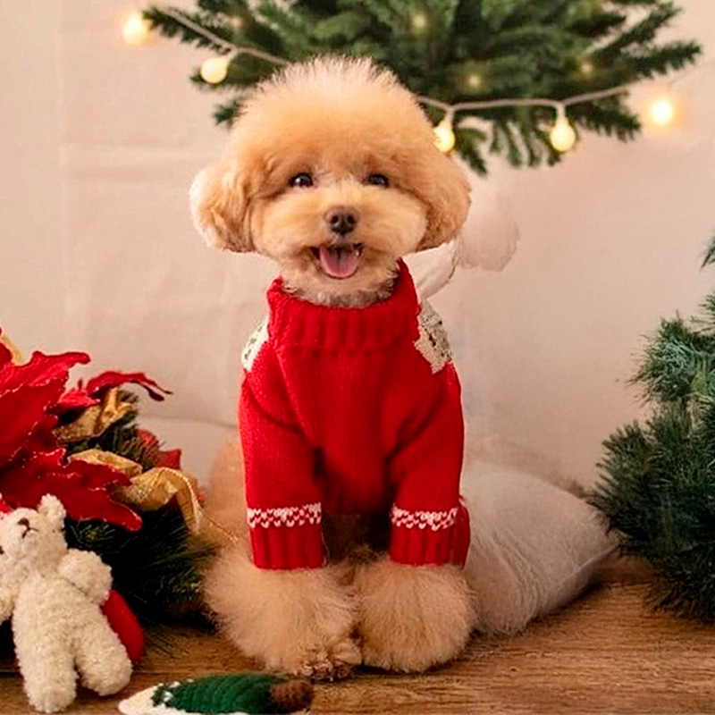 Рождественский свитер для собак и кошек 2111CGLK9070 вязаный теплый  Red XS
