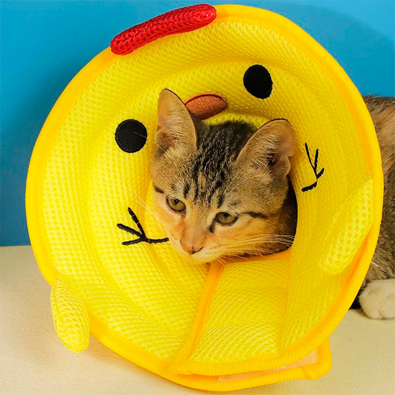 Мягкий воротник-подушка для кошек 2212CGAN028 послеоперационный защитный от вылизывания L Chick