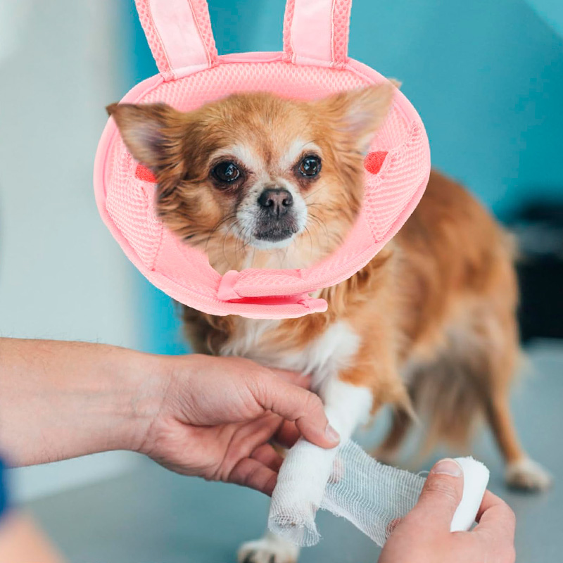 Мягкий воротник-подушка для кошек 2212CGAN028 послеоперационный защитный от вылизывания M Bunny