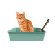 Туалет для кошек с лопаткой Taotaopets 263303-2 кошачий лоток Mint Green