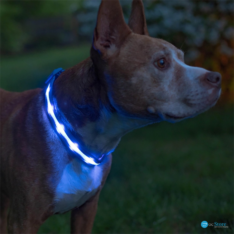 Светодиодный LED ошейник USB светящийся для собак и котов Blue L