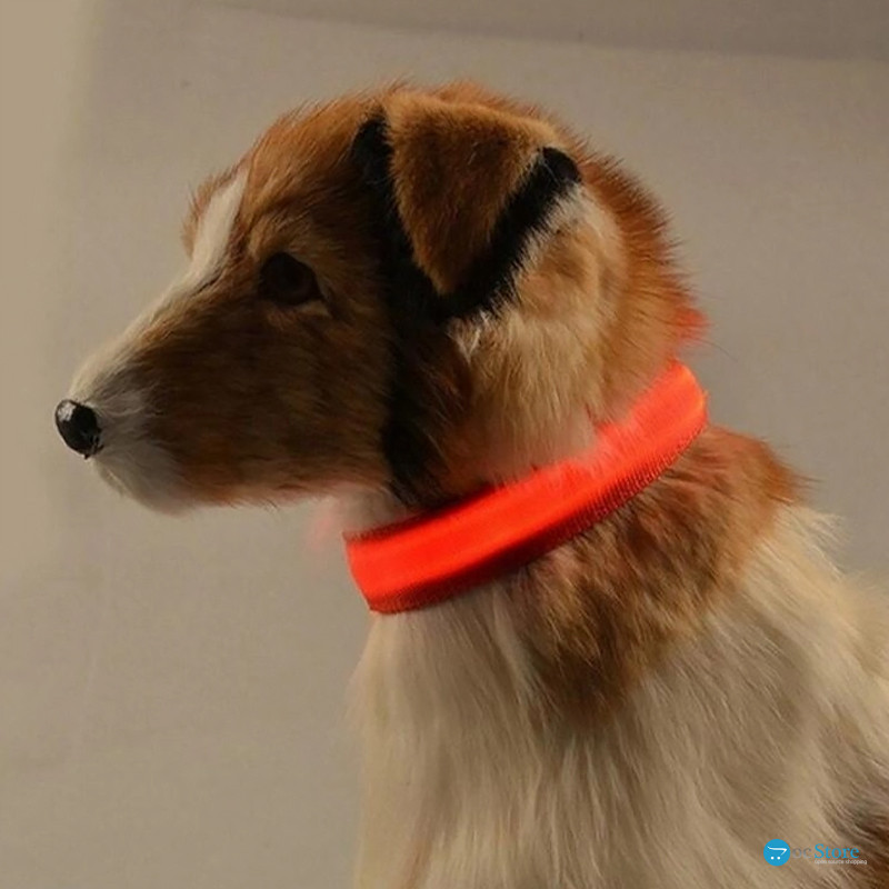 Светодиодный LED ошейник USB светящийся для собак и котов Red M