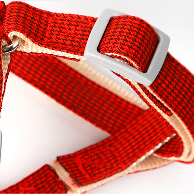 Шлея для собак или кошек с поводком Taotaopets 1710118 Red (1.0 cm)