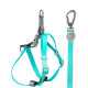 Шлея для собак или кошек с поводком Taotaopets 171120 Green M (1.5 cm)