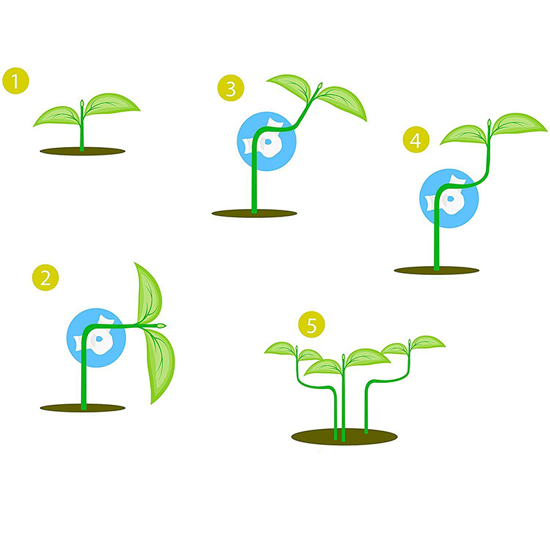 Зажим QS202277529 для веток растений на 360° пряжка для роста растений