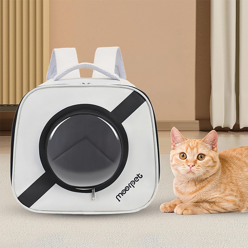 Рюкзак-переноска для кошек Taotaopets 241109 Window Black