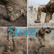 Тактические штаны Soft shell S.archon IX6 Camouflage CP S