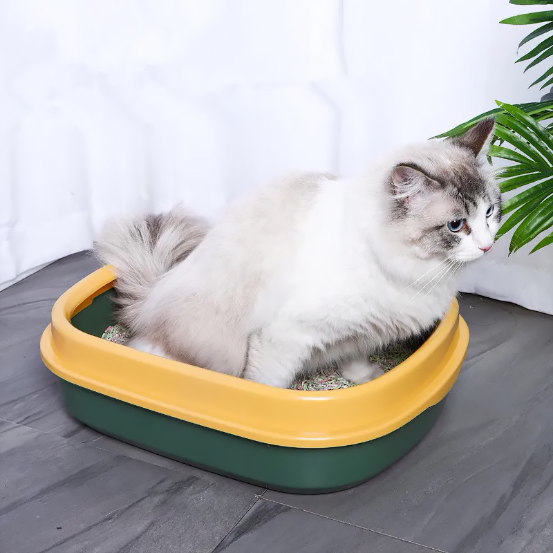 Туалет лоток для кошек с лопаткой Taotaopets 225501 46*38*13 см Green