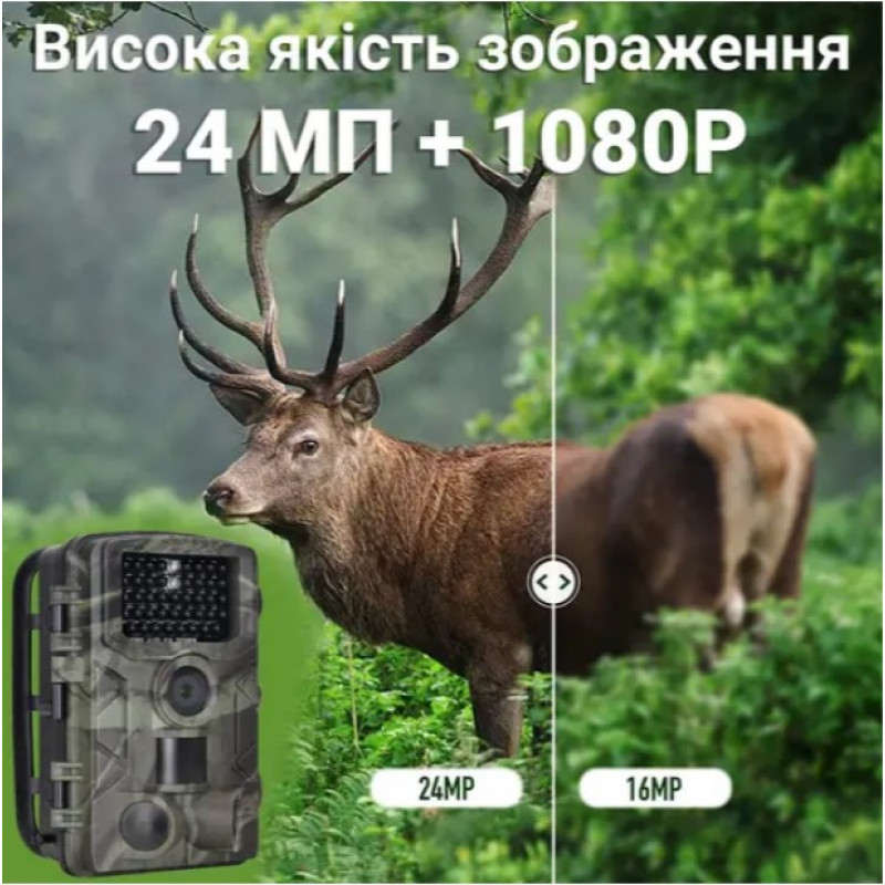 Фотопастка Suntek HC-808A з кутом огляду 120°, датчиком руху, нічним знімком та захистом IP65 — камера для охорони на відстані до 20 метрів.
