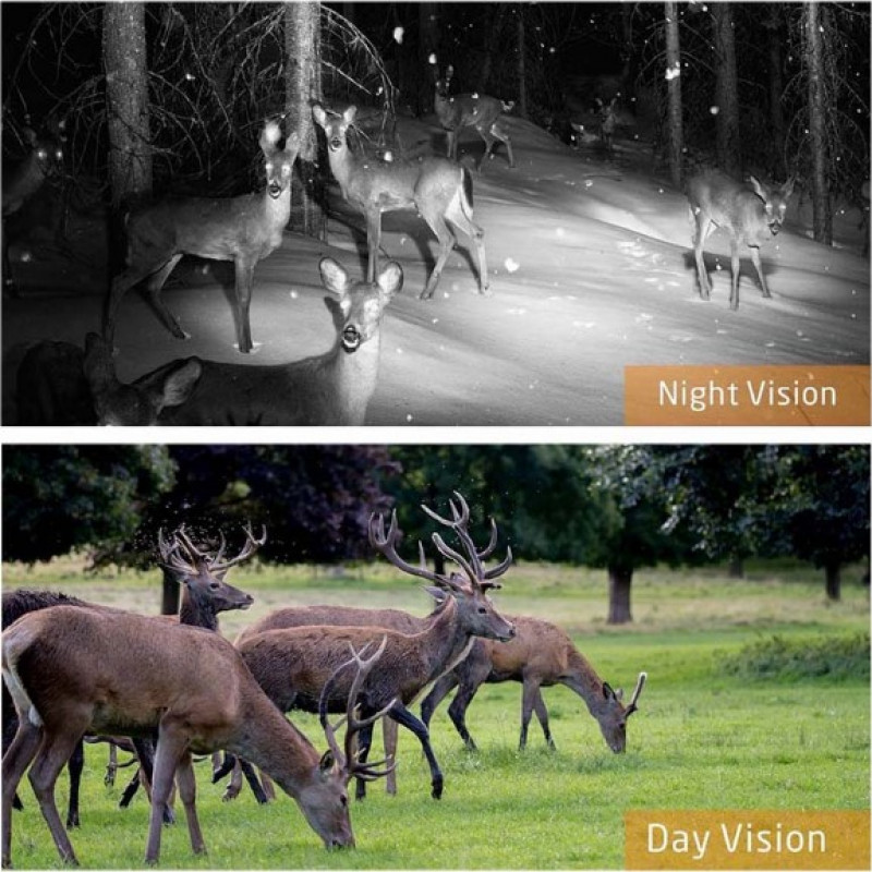 Фотопастка Suntek HC-808A з кутом огляду 120°, датчиком руху, нічним знімком та захистом IP65 — камера для охорони на відстані до 20 метрів.