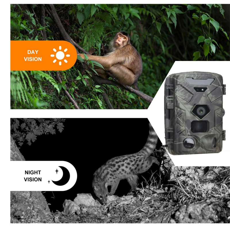 Фотоловушка Suntek HC-881A — Покращена камера для спостереження з вдосконаленою функціональністю та якісною зйомкою.