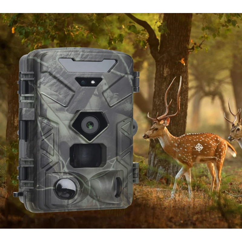 Фотоловушка Suntek HC-881A — Покращена камера для спостереження з вдосконаленою функціональністю та якісною зйомкою.