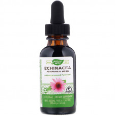 Ехінацея, Echinacea, Nature's Way, 500 мг, 30 мл