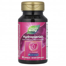 Гіалуронова кислота + МСМ, Hyaluronic Acid With MSM, Nature's Way, 60 капсул