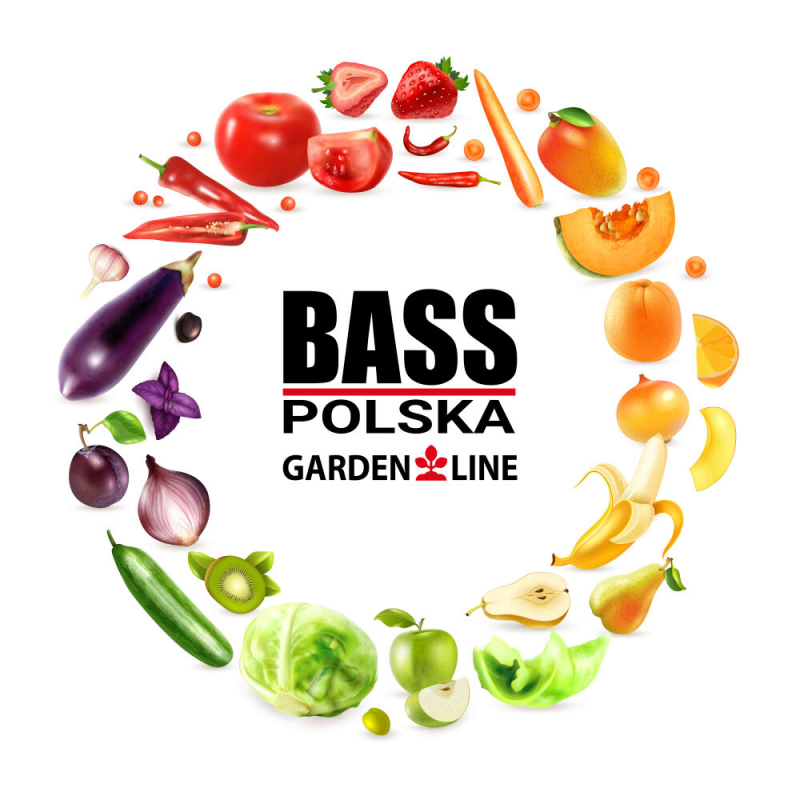 Плівка для теплиці 18 м² (6 х 3 х 2 м) BASS POLSKA, UV-12, Прозора